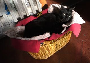 Essere pronti a tutto!