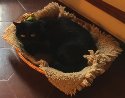 Aspettami non tarder�!