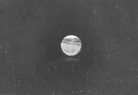 Ovunque appari sorridendo