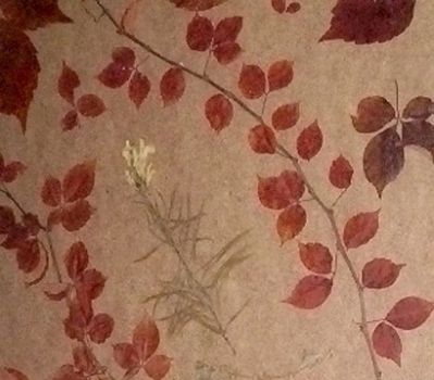 Ogni foglia un tessuto d�amore!