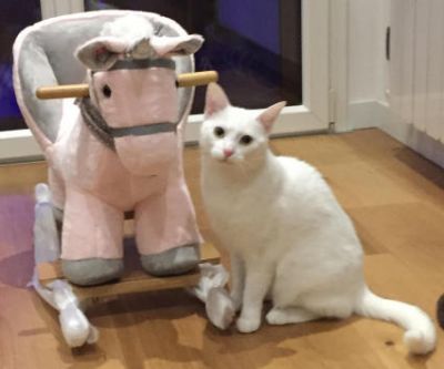 Sovranit� rispettata