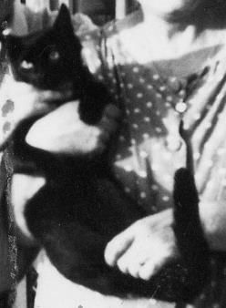 Da lass� chiamano!