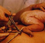 Quel filo indistruttibile