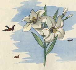 Finch� morte non separi