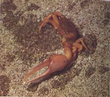 Serenit� distrutta