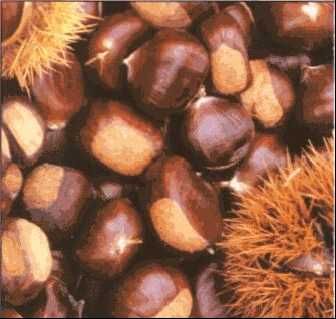Sera d'autunno