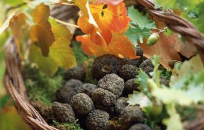 Sapori d'autunno  