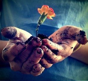 C' un nuovo fiore per te