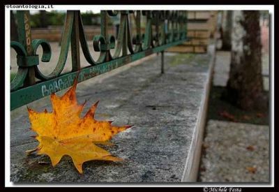 Riflessi di un autunno inoltrato