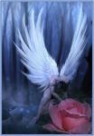 Ho ucciso un angelo
