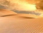 Sahara