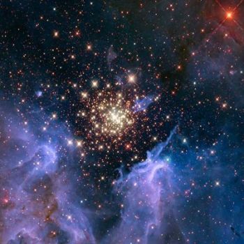 Luccichio di stelle