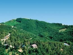 La collina e il lupo