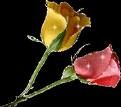 Un bacio a una foto