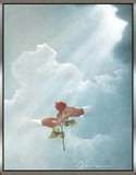 Fra il vento una rosa  