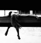 Una donna puo' fare