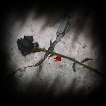 L'artiglio e il dolore