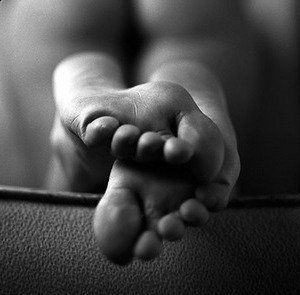 Forse