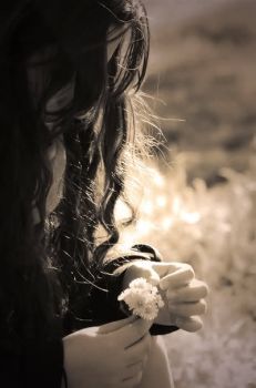 Vivere