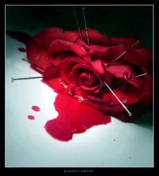 Rosa rossa del lago