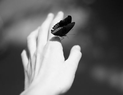 Il ritmo del cuore