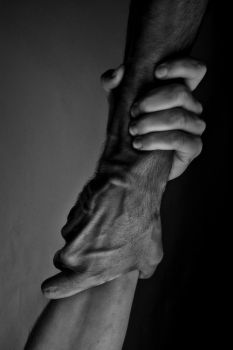 Non è nato l'amore
