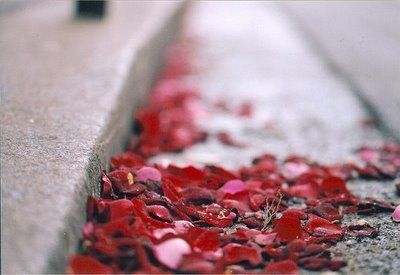 Sere solitarie
