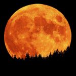 Notte di una luna densa