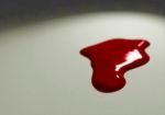 Filastrocca( ccia) autoreferenziale
