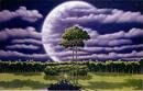 Gocce di luna nuova