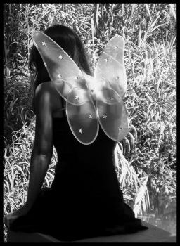 Luce