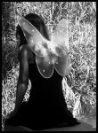 Luce