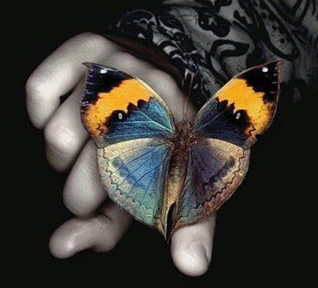 Finalmente... libera