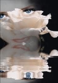 Io... vorrei