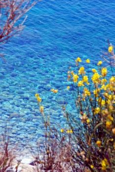 Isola  