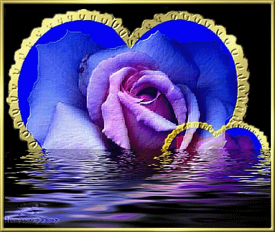 Una rosa nel cuore
