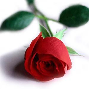 Respiro amore