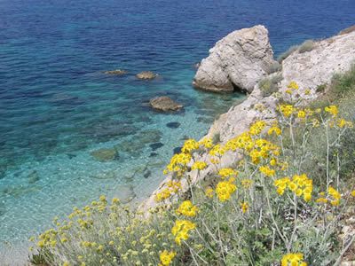 Io e Te... Isola