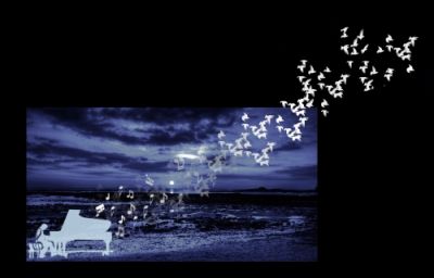  musica del cuore  