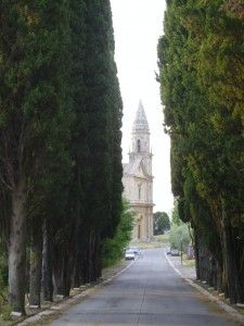 Verdi cipressi
