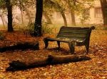 Languido Autunno