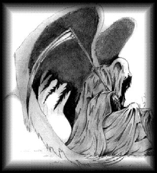 La Morte