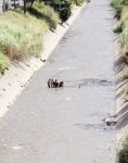 Guaire