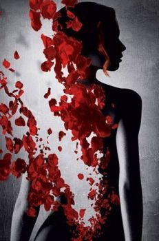 Fragranza di rose