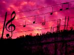 Musica