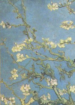 Mandorlo in fiore