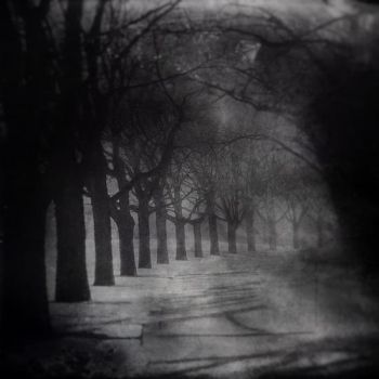 La strada oscura