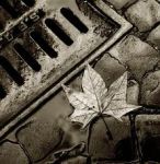 Autunno