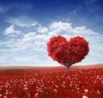 è ancora Amore