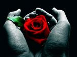 Il mio, il tuo respiro